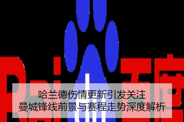 哈兰德伤情更新引发关注 曼城锋线前景与赛程走势深度解析
